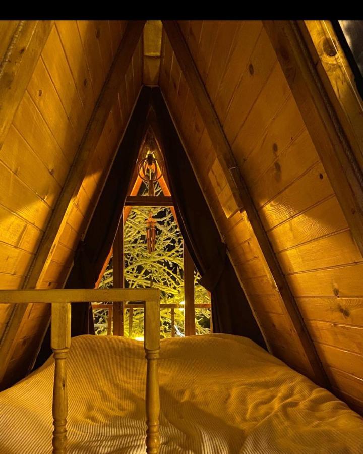 Oruba Bungalov Konuk evi Rize Dış mekan fotoğraf