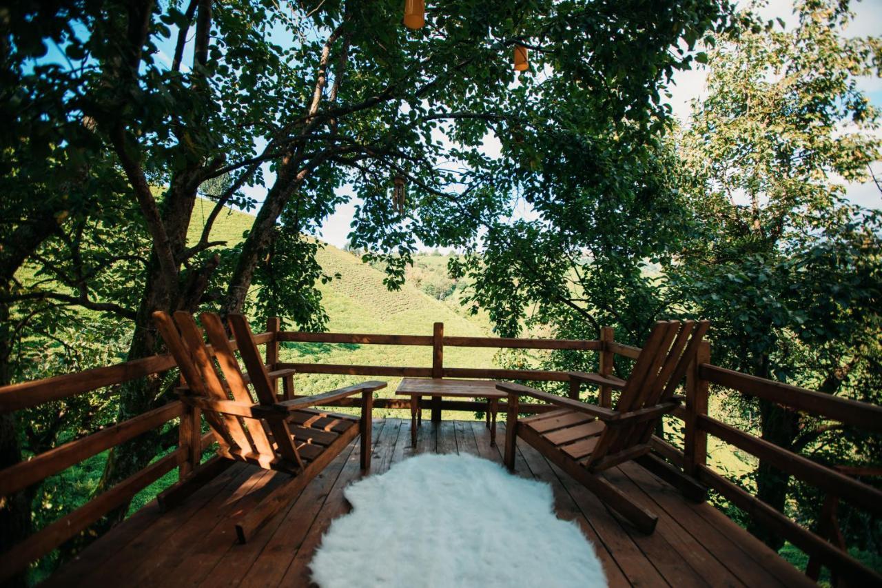 Oruba Bungalov Konuk evi Rize Dış mekan fotoğraf