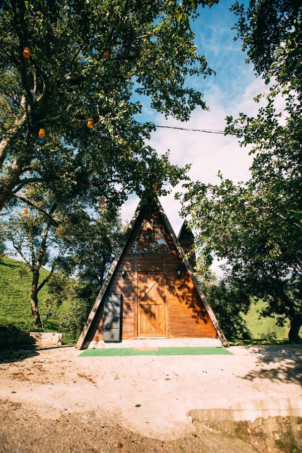 Oruba Bungalov Konuk evi Rize Dış mekan fotoğraf