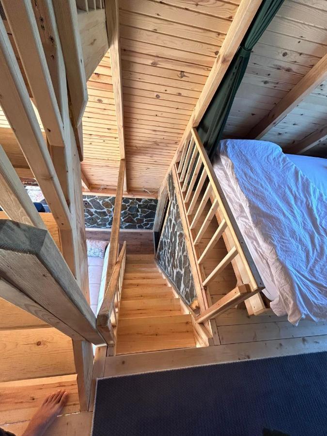 Oruba Bungalov Konuk evi Rize Dış mekan fotoğraf